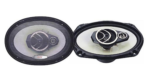 Car Speaker TS-A6955