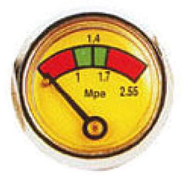 Pressure gauge G02A33