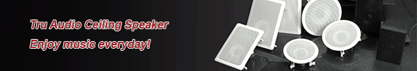 In-Wall/Ceiling Speakers,ceiling speaker
