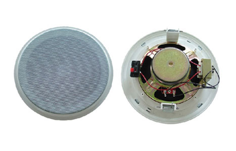 In-Wall/Ceiling Speakers,ceiling speaker