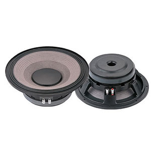 Subwoofer SW-A300PB