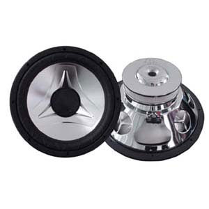 Subwoofer SW-300T