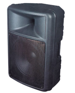 Moulded Enclosure Speaker PEVPR010