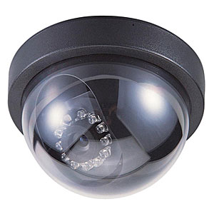 Dome camera Series EDC1172M(IR)