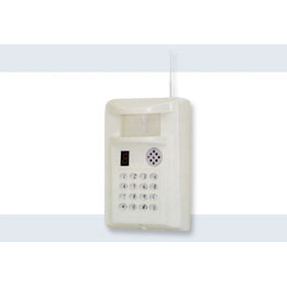 Home Burglar Alarm DSW127