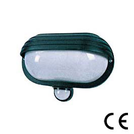 Eyelid PIR Bulkhead Security Light,Pir Lamp,Pir Lamps,Outdoor Lamps