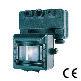 PIR Sensor DPS02