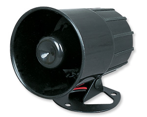 Horn Speaker